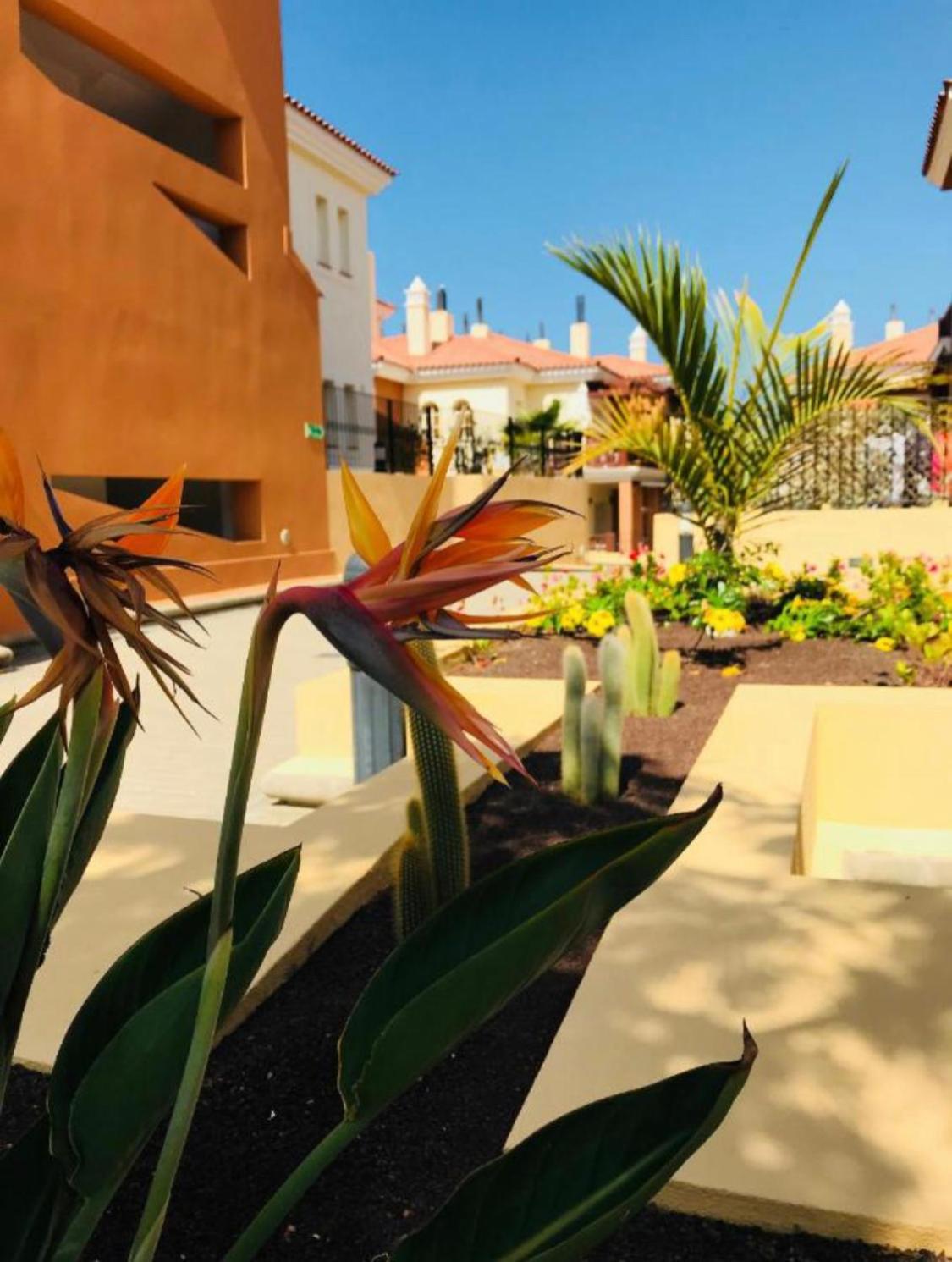 Selena Luxury Monte Carrera Apartment La Playa de Arguineguin Exterior photo